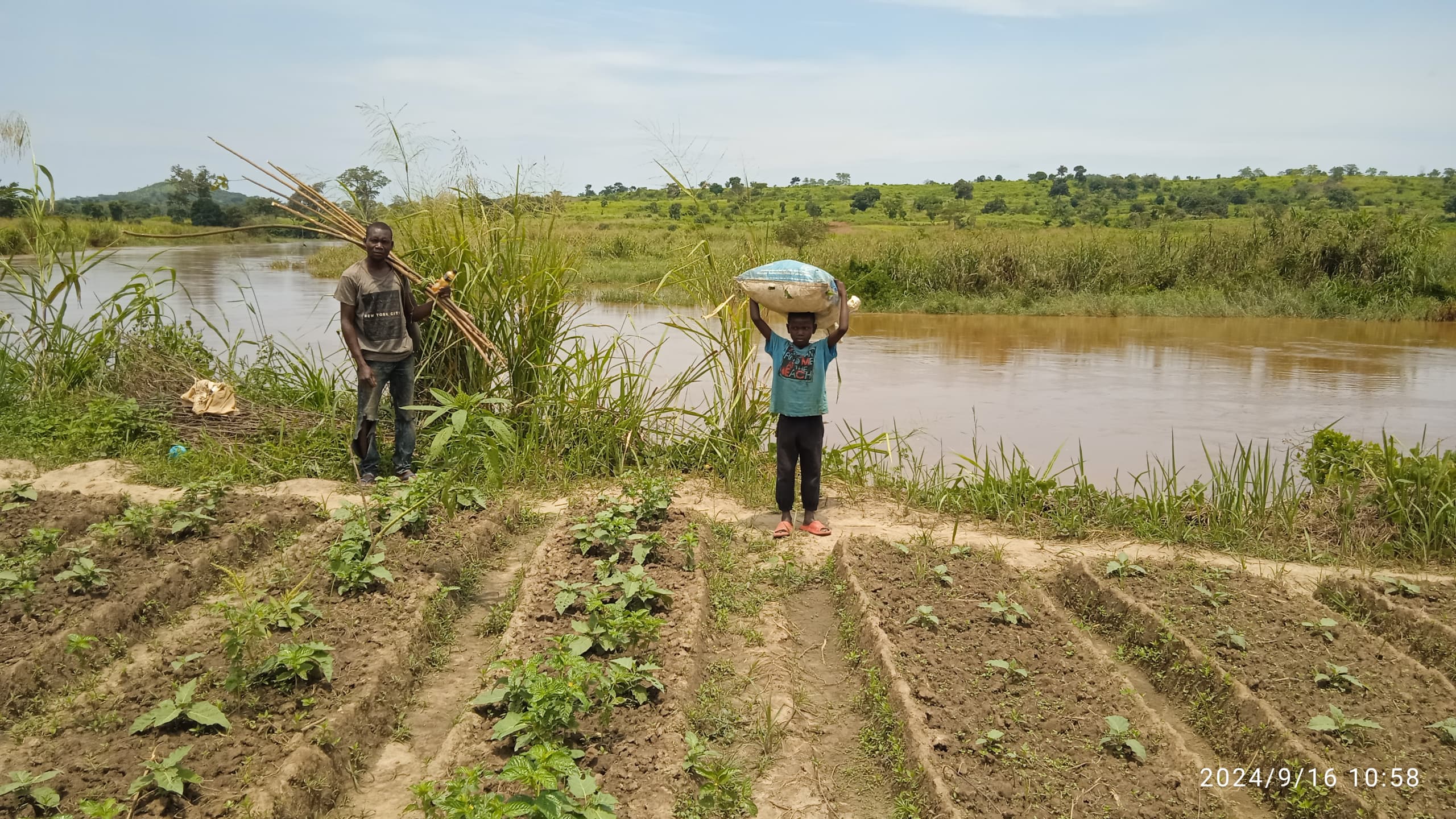 Centrafrique : Le Jardin d’Espoir qui Fait Fleurir l’Avenir de la Jeunesse de Sakai 4.