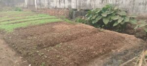Hôpital de l'amitié de Bangui