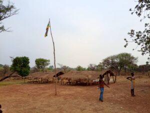 Ecole Bongo