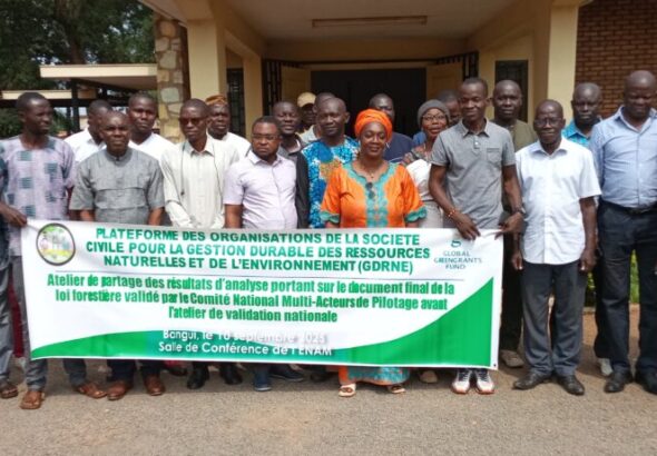 Atelier sur le déforestation