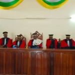 Conseil Constitutionnel de la RCA