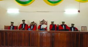 Conseil Constitutionnel de la RCA
